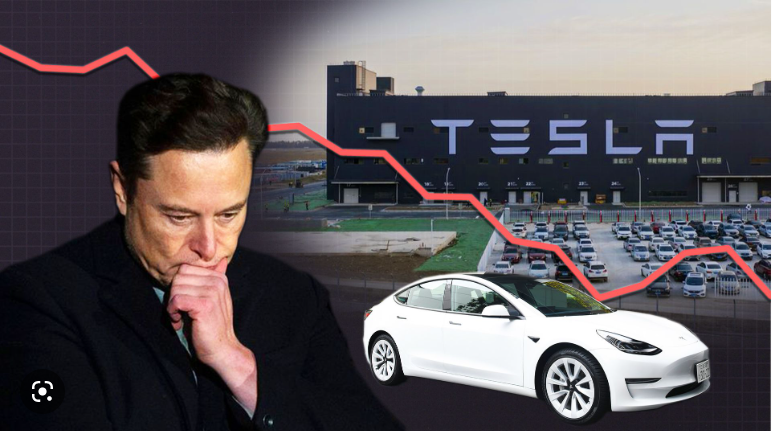 elon musk tesla musk elon investors